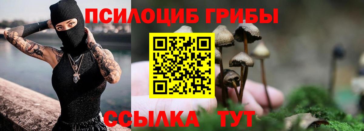 Якутск  Галлюциногенные грибы ЛСД  Вход с VPN 